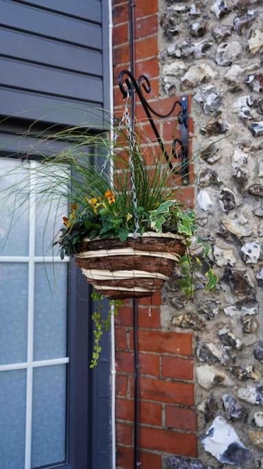 Villa *Stunning* The Botanist Rest Ventnor Iow Exterior foto
