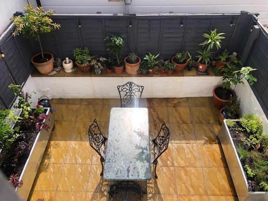 Villa *Stunning* The Botanist Rest Ventnor Iow Exterior foto