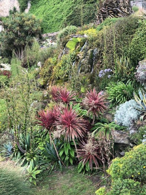 Villa *Stunning* The Botanist Rest Ventnor Iow Exterior foto